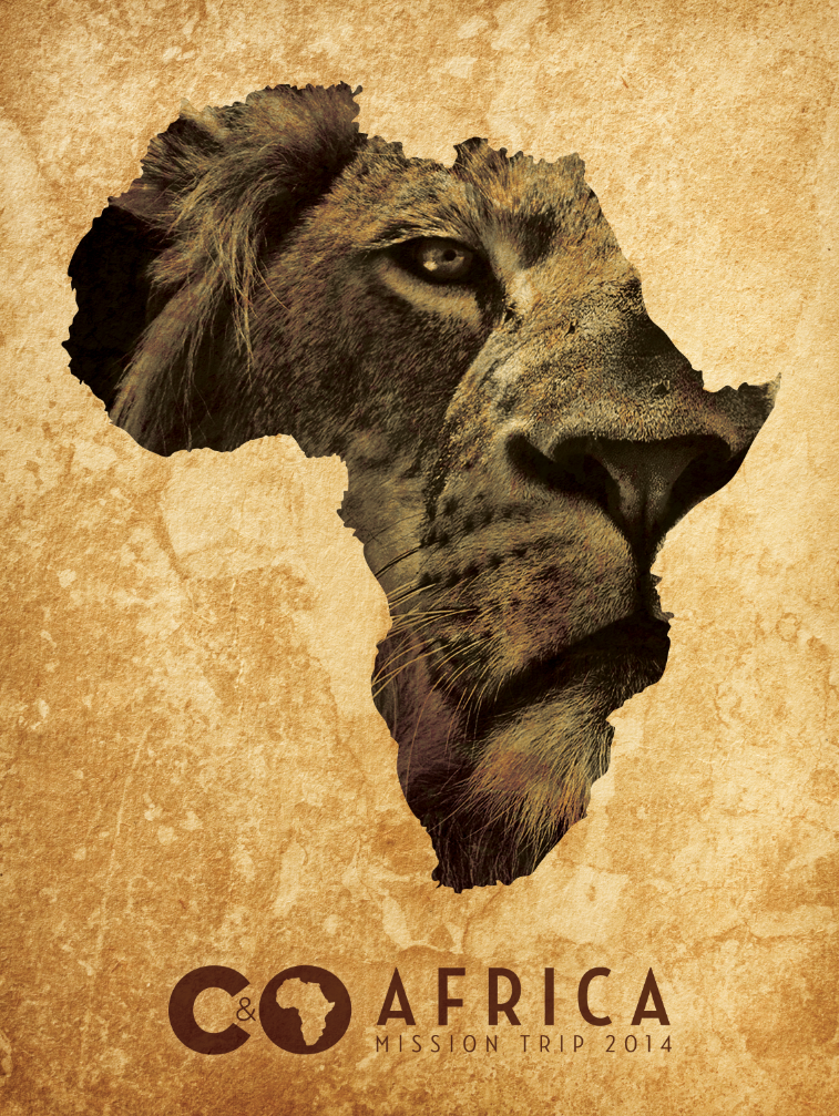 C&O Africa Trip Lion Poster